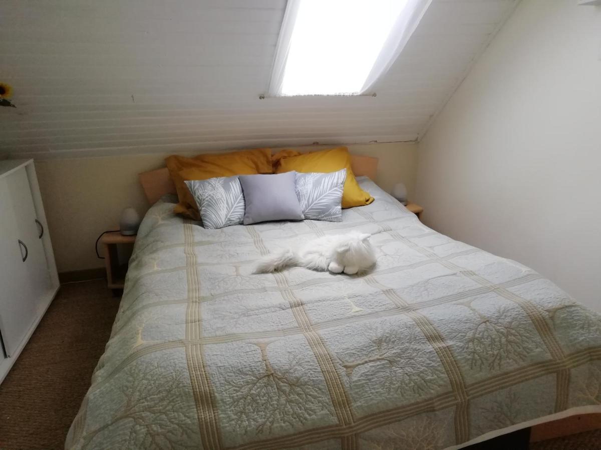 Maison Piscine Privee Proche De Rodez Cassagnes-Begonhes ภายนอก รูปภาพ